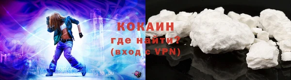 крисы Абаза