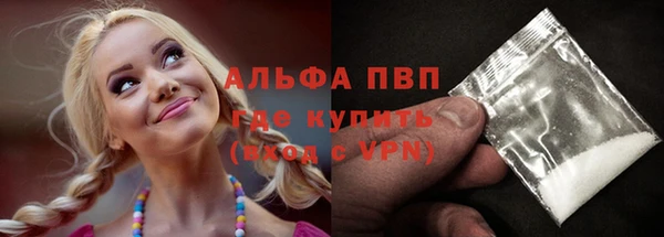 крисы Абаза