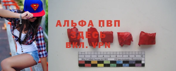 крисы Абаза