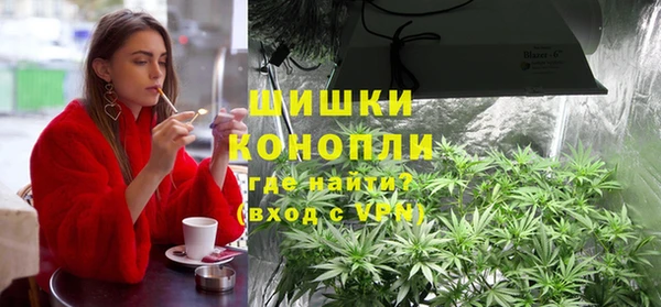 шишки Алексеевка