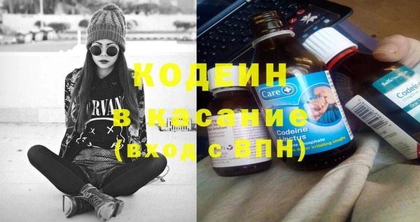крисы Абаза