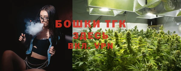 крисы Абаза