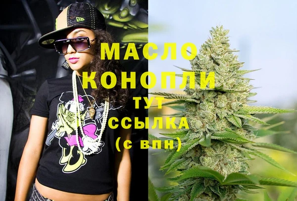 крисы Абаза