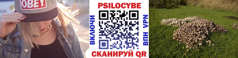 Псилоцибиновые грибы Magic Shrooms  Сысерть 