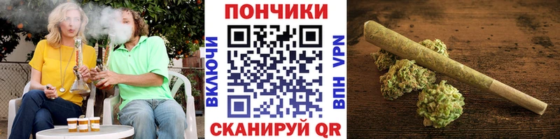 Шишки марихуана сатива Сысерть